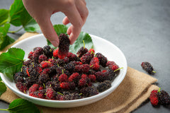 Mulberry & Lodhra Extracts