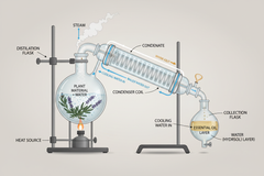 Steam Distillation Process