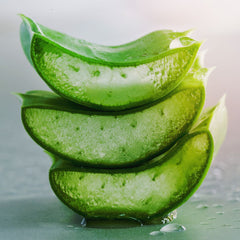  Aloe Vera