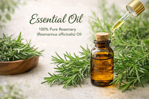 Rosemary Extract