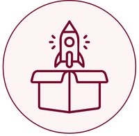 New Launches