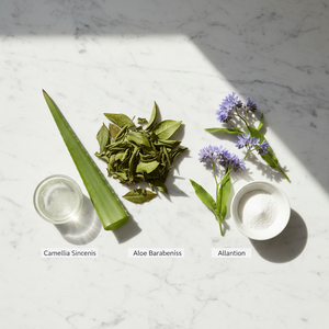 Botanical and Soothing Ingredients 