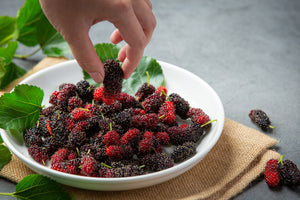 Morus Alba (Mulberry) Leaf Extract