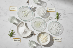 Conditioning and Support Ingredients 