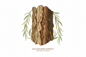 Willow Bark Extract